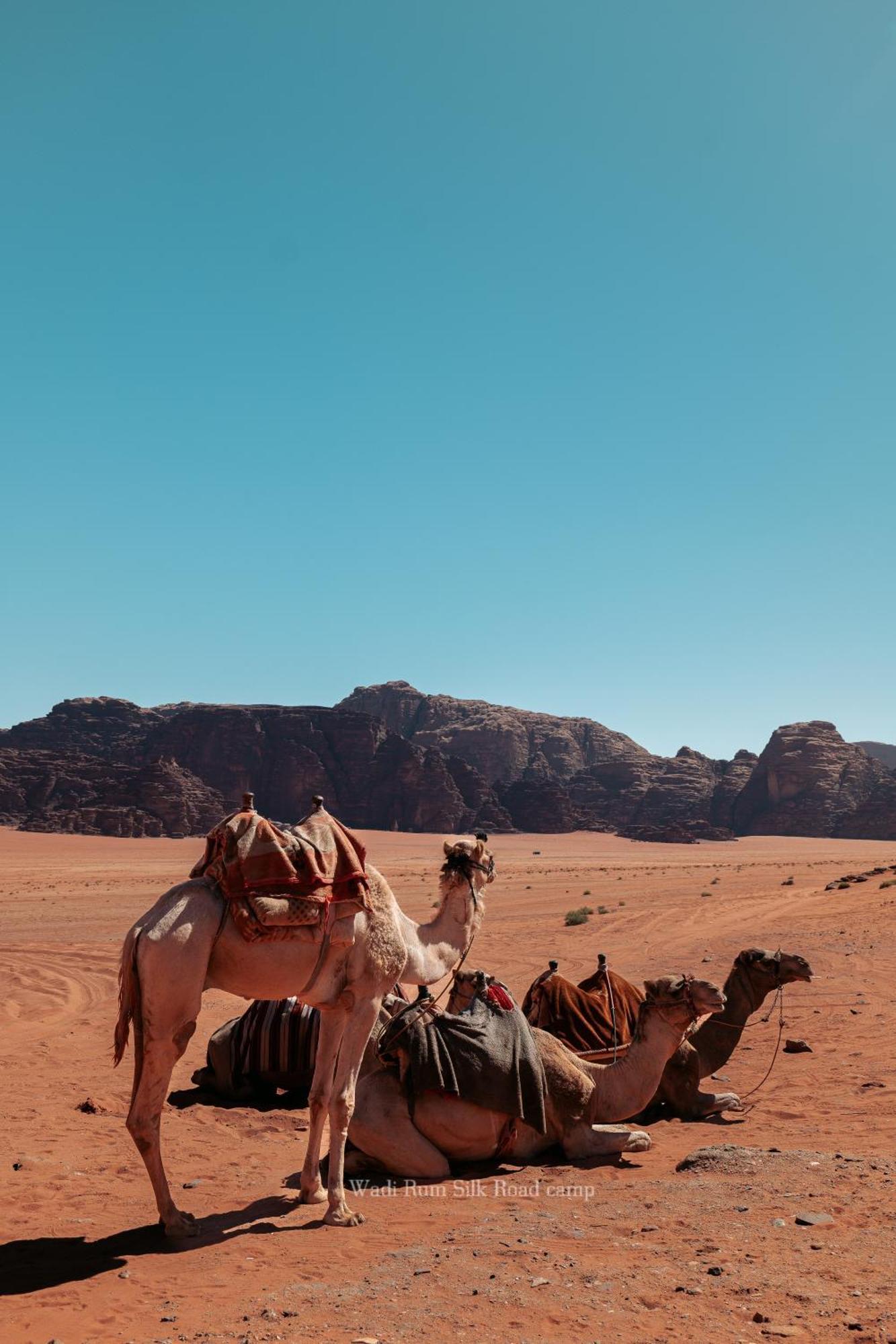 Wadi Rum Silk Road Camp Luaran gambar